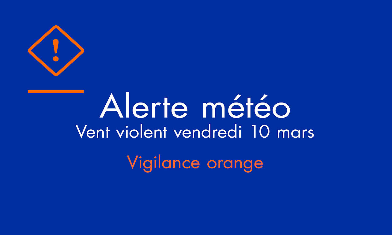 Alerte M T O Vent Violent Vendredi Mars Ville De Saint Rapha L